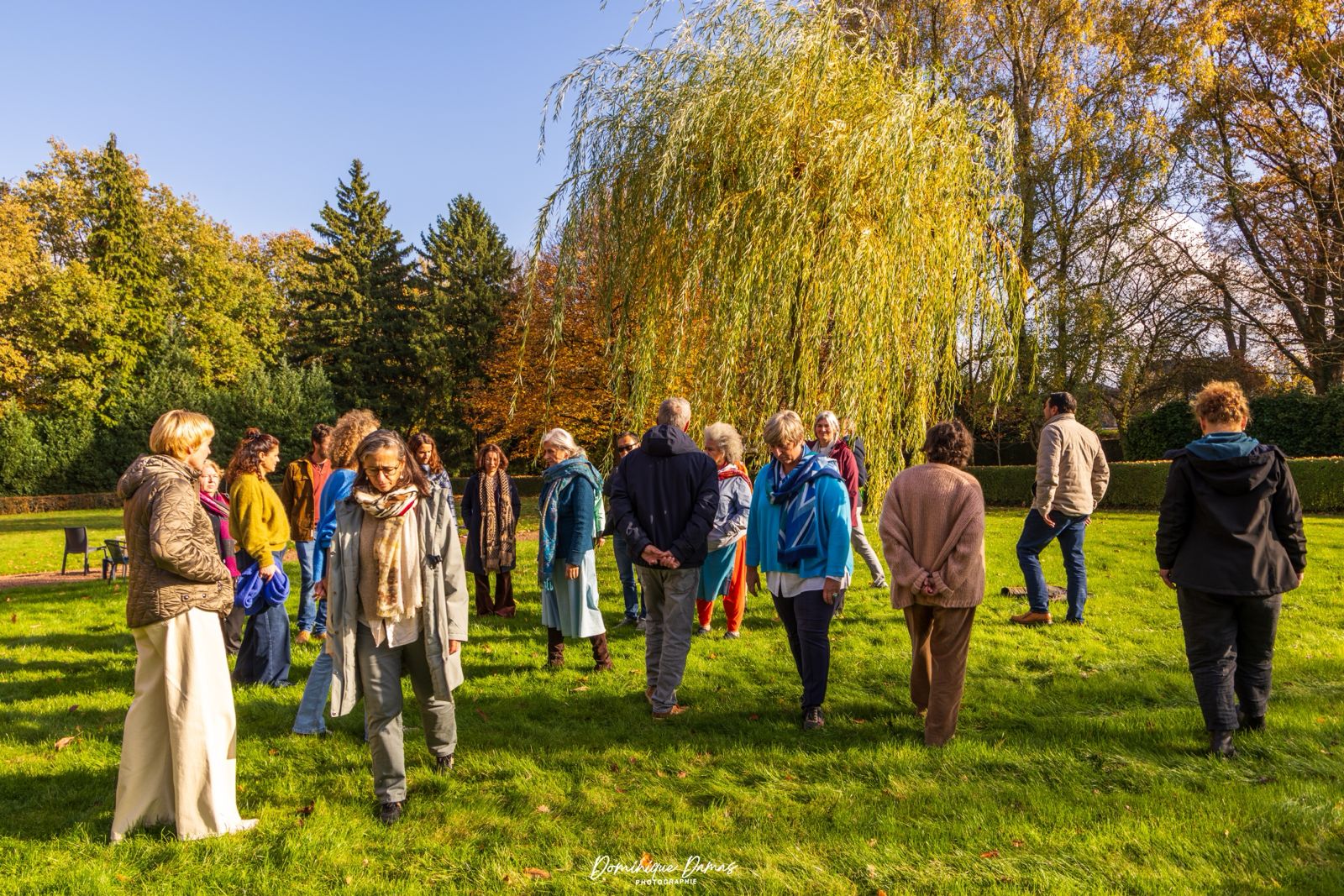 ReGen Coaching - Webinaires pour inspirer, apprendre et se régénérer