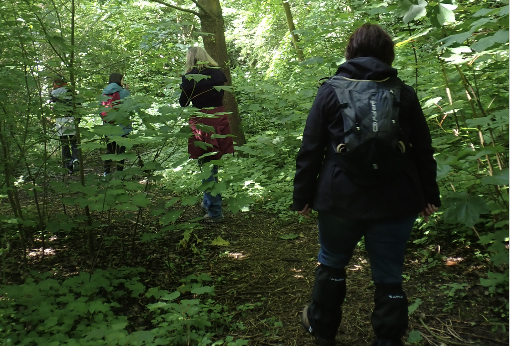 Coaching avec la nature 